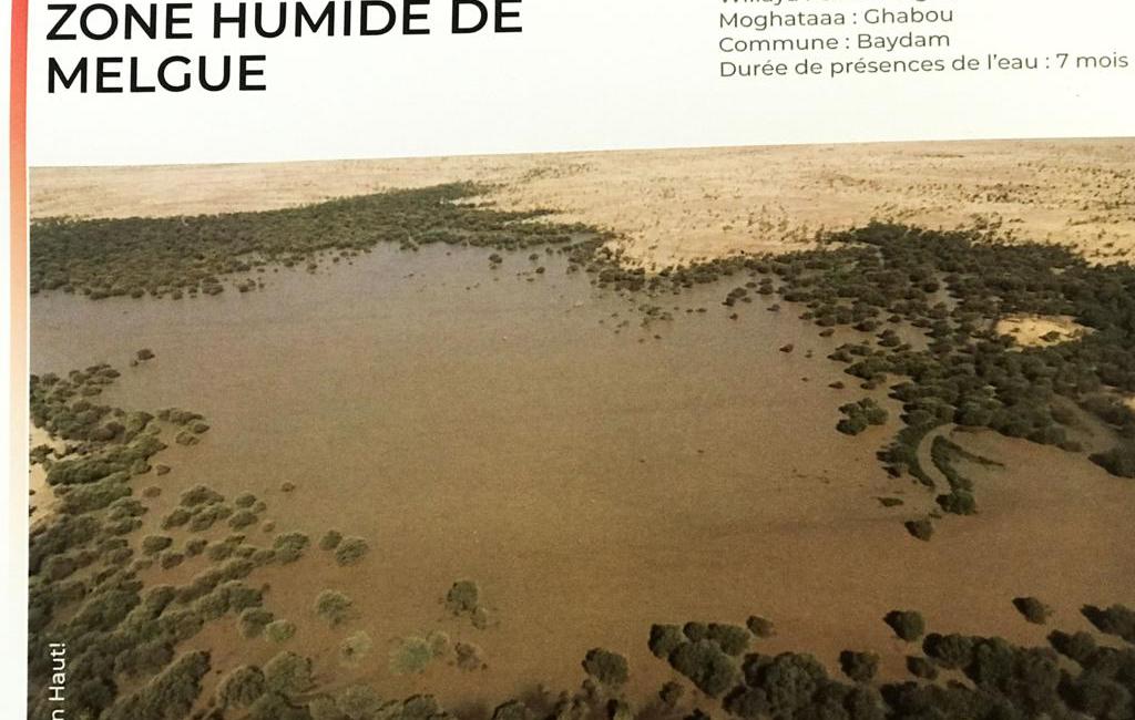 <p style="text-align: center; "><b>Zone Humide de MELGUE&nbsp;</b></p><ul><li>Wilaya : Guidimakha </li><li>Moghataa : Ghabou </li><li>Commune : Baydam&nbsp;</li><li> Durée de  présence de l'eau : 7 mois</li></ul>