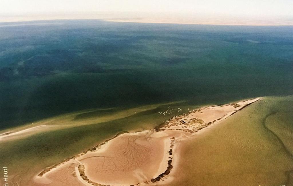 <div style="text-align: center; "><b>Zone Humide Du Parc National Du BANC D'ARGUIN</b></div><div style="text-align: center; "><b>Photo : Ile de NAIR</b></div><div><br></div><ul><li>Wilaya : Dakhlet Nouadhibou</li><li>Moughataa : Chami</li><li>Commune : Mamghar</li><li>Superficie : 12 000 km2&nbsp;</li><li>&nbsp;Durée de présence de l'eau : 12 mois</li></ul><div>Le Banc d'Arguin est une région de hauts fonds et de basse marées qui couvrent une large partie du plateau continental mauritanien. Il se situe entre le Cap Blanc et le Cap Timiris.</div><div><br></div><div>Le parc national du Banc d'Arguin (PNBA) a été créé en 1976. Il s'etend sur une superficie de 1 200 000 hectares, dont la moitié en domaine marin. Le Banc d'Arguin est l'une des zones les plus importantes au monde pour les oiseaux nicheurs et les et les échassiers migrateurs d'origine paléarctique. Zone de reproduction et de grossissement de plusieurs espèces (poissons, mammifères, tortues, oiseaux, etc ...), la zone est tapissée de l'un des couverts végétaux (herbiers marins) les plus denses au monde avec une grande capacité de séquestration de carbone. Le Banc d'Arguin est désigné site RAMSAR depuis 1982 et site du patrimoine mondial de l'UNESCO en 1989.</div><div><br></div><div><b>Pressions et contraintes</b></div><div><br></div><div>A l'instar des autres sites littoraux, le PNBA subi diverses pressions d'ordre anthropiques (pêche, tourisme, exploration et exploitation pétrolière, exploitation aurifère, etc...) et naturelles les effets des changements climatiques.</div>