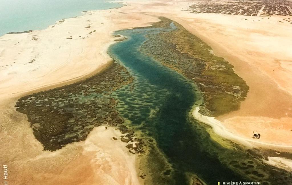 <p style="text-align: center; "><b>Zone humide de laa Baie de l'Etoile</b></p><p style="text-align: center; "><b>Photo : Rivière à SPARTINE</b></p><ul><li>Wilaya : Dakhlet Nouadhibou</li><li>Moughataa : Nouadhibou</li><li>Commune : Nouadhibou</li><li>Superficie : 1200 ha</li><li>Durée de présence de l'eau : 12 mois</li></ul><p>Située au nord-ouest de la baie du Lévrier, la baie de l'Etoile, avec une longueur (nord-sud) de 4.600 m et une largeur (Est - Ouest) de 2 500 m et de son bas sud (rivière), est un site stratégique du fait de l'importance de sa biodiversité et la biodiversité de ses habitats (alternance de plages de sable, de côtes rocheuses et des zones vaseuse, des marées salées à Spatina maritima et des herbiers à Zostera noltii et à Cymodocea barbus).</p><p>Son aspect esthétique et son microclimat contribuent à la qualité de vie des habitants de Nouadhibou et en fait un site touristique par excellence pour la ville de Nouadhibou. Plusieurs activités y sont pratiquées notamment la pêche sportive, le tourisme et l'extraction de sel (saline).</p><p><b>Pressions et contraintes</b></p><p>La principale menace sur les écosystèmes de la baie de l'Etoile est le développement urbain anarchique de la ville de Nouadhibou ces dernières années, la pollution des eaux du faits des activités des usines de farines de poissons situées plus au sud à mois de 3 km, l'affluence massive des visiteurs (touristes et populations riveraines) pendant les périodes de chaleurs (été). Les effets du changement climatique et ses corolaires sont également notés (élévation du niveau de la mer, érosion des falaises, acidification des eaux, prolifération des microalgues etc...).</p>
