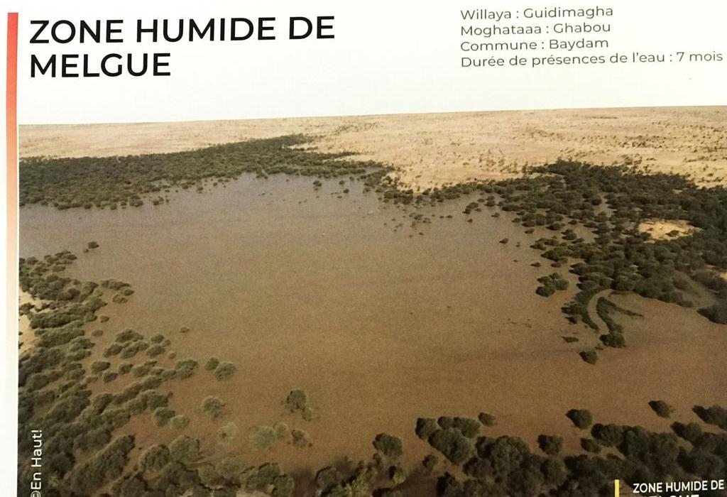 <p style="text-align: center; "><b>Zone Humide de MELGUE&nbsp;</b></p><ul><li>Wilaya : Guidimakha </li><li>Moghataa : Ghabou </li><li>Commune : Baydam&nbsp;</li><li> Durée de  présence de l'eau : 7 mois</li></ul>