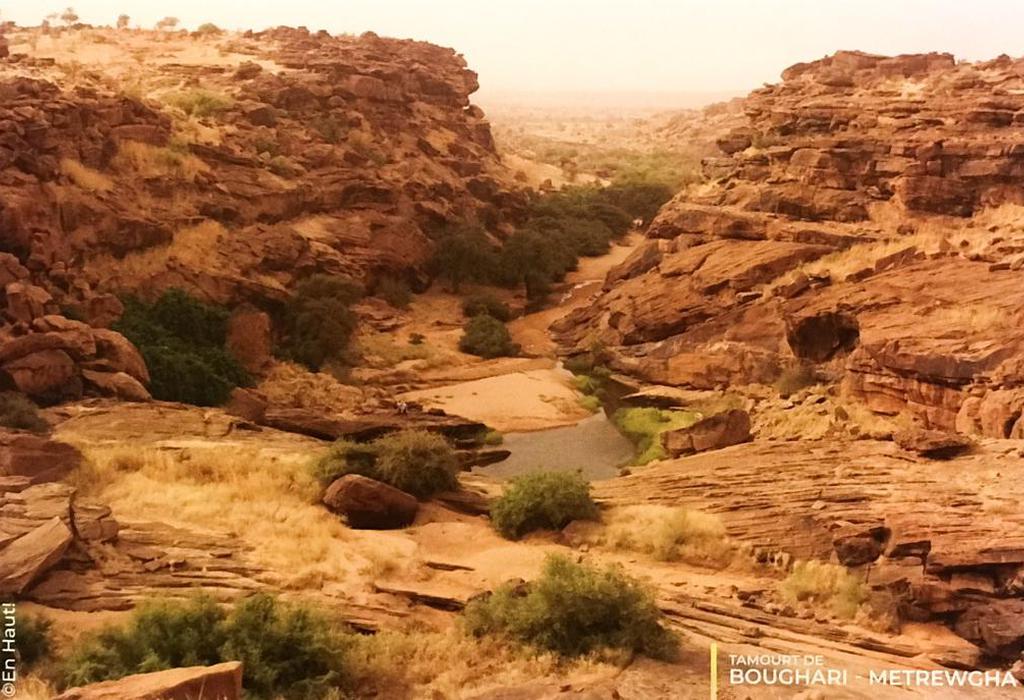 <p style="text-align: center;"><span style="font-weight: 700;">Tamourt De BOUGHARI - METREWGH</span></p><ul><li>Wilaya : Assaba</li><li>Moughataa : Kiffa</li><li>Commune : Aghoratt</li><li>Superficie : 800 ha</li><li>Durée de présence de l'eau : 7 mois</li></ul><p>Située dans la commune d'Aghoratt sur le plateau de Lemghreizat, le site de Metrewgha, qui se trouve à environ 7 kilomètres de la Tamourt de Boughari avec laquelle il constitue une entité écologique (unités complémentaires) caractérisé par la diversité et la beauté de son paysage accidenté et de ses falaises.</p><p>Les eaux superficielles y sont présentes sur une grande partie de l'année, pouvant aller jusqu'à sept (7) mois. Ce facteur justifierait la présence d'importantes colonies d'oiseaux migrateurs.&nbsp;</p><p>Les principales activités économiques pratiquées par les populations sont l'agriculture, le maraichage et l'élevage. Les potentialités touristiques de la localité sont nombreuses mais très peu exploitées. Leur prise en compte pourrait aider à créer des emplois et améliorer le cadre de vie des populations locales.</p><p><span style="font-weight: 700;">Pressions et menaces</span></p><p>Les activités anthropiques notamment maraichères et pastorales exercent des pressions qui sont visibles autour de la Tamourt. Le changement climatique y exacerbe par ailleurs la dégradation des sols et la perte de la biodiversité.</p>